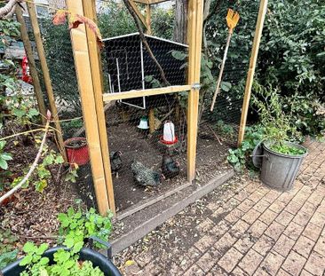 Hamerstraat 67-N, Zuidwal, 2512CX, Den Haag - Photo 1