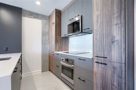 Condo for rent, Montréal (Ville-Marie) - Photo 2