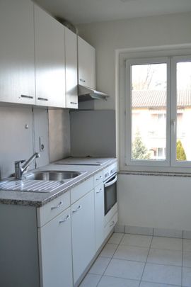 Zürich-Schwamendingen helle und schöne Wohnung befristet bis 30.09.27 - Photo 1
