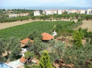 Διαμέρισμα για ενοικίαση - Θερμαϊκός, - Photo 1