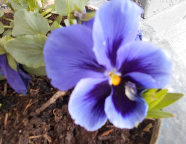 Gemütliches Apartment in ruhiger Lage zu sofort zu vermieten - Photo 1