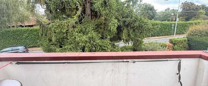 3-Zimmer Wohnung in Frankfurt fechenheim 50qm,Einbauküche,Garten! - Photo 1