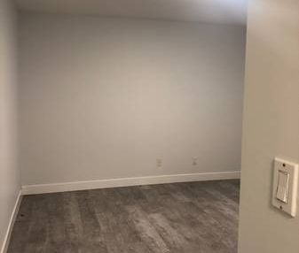 Large 1 Bedroom basement suite in Fleetwood - Photo 3