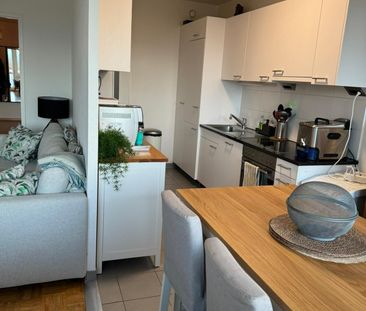 Recently renovated 5.5-room apartment with balcony in Lancy - Foto 6