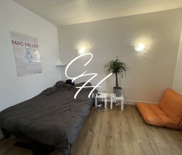 GRENOBLE - HYPER CENTRE - T2 - Photo 5