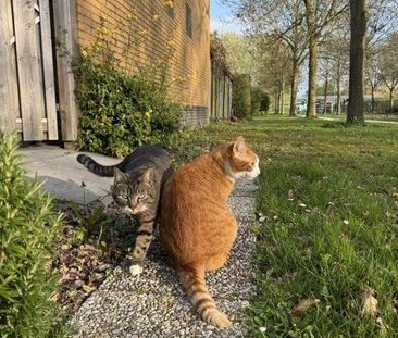 Huis te huur: Meistraat 23 1335 BT Almere - Photo 1