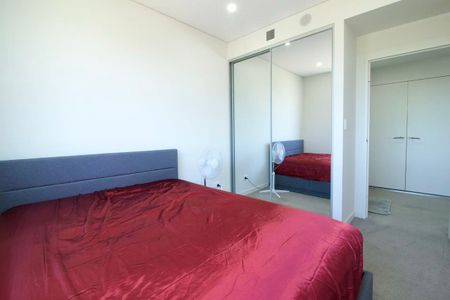 313/22 Dressler Court Merrylands - Photo 2