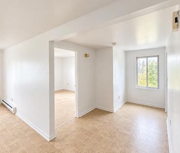 2 1/2 rénové Saint-Hyacinthe ! Wifi inclus - Photo 3
