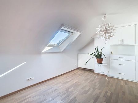Prachtige woning met 4 slaapkamers nabij centrum Leuven! - Foto 2