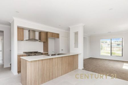 Family Comfort in a Peaceful Court Location - Photo 4