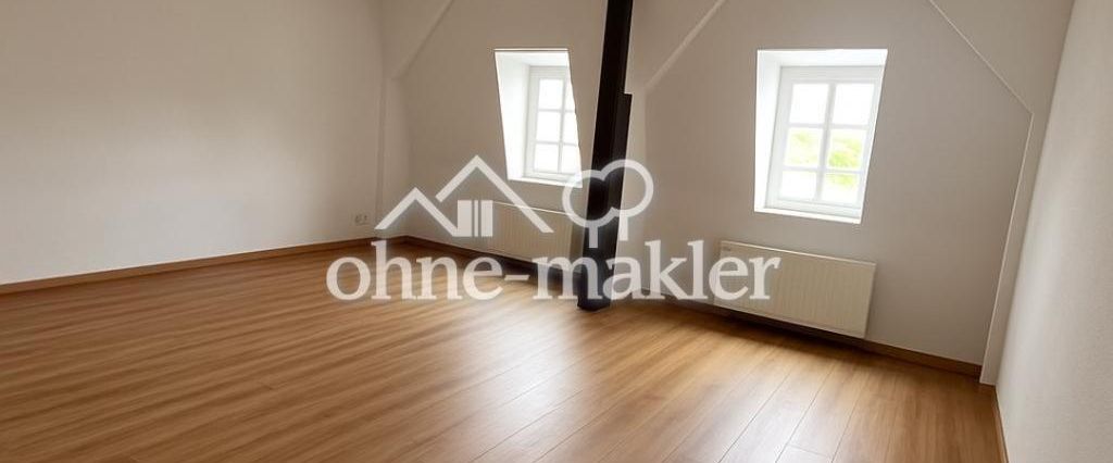 Großzügige 1-Zimmer-Wohnung frisch renoviert mit Traumblick - Photo 1