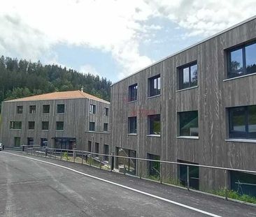 2 Zimmer, 54 m² - Foto 5