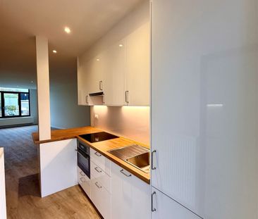 Gerenoveerd appartement - Foto 4