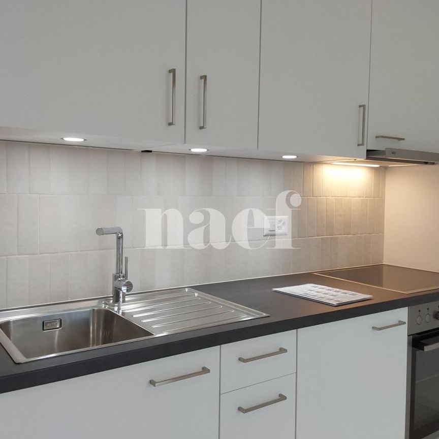 2 Zimmer, 30 m², 7. Stock - Foto 1