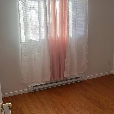 5.5 lumineux à louer pour fin juillet - Photo 3