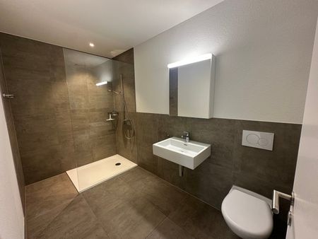 Moderne 2.5-Zimmer-Wohnung im Erdgeschoss in Hirschthal – ab sofort verfügbar! - Foto 4