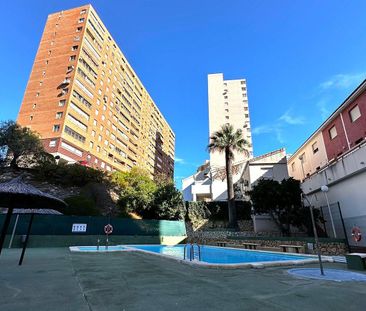 Apartments in Benidorm ID ALQFT039Apartment in Benidorm ID ALQFT039 - Photo 5