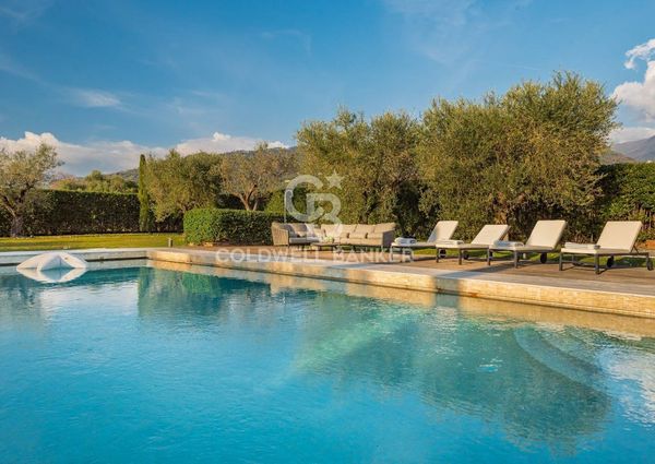 viale apua, Pietrasanta, Tuscany 55045