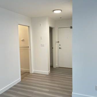 Large Renovated 2 Bedroom in Great location - Photo 4