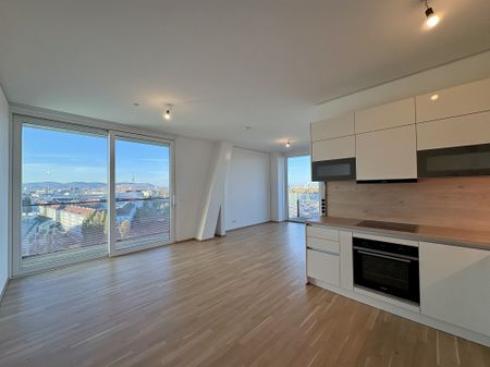 TOP-Ausblick: City mit Stephansdom, Donaukanal, Prater. Concierge, Party & BBQ Lounge, Pool usw. - Photo 5