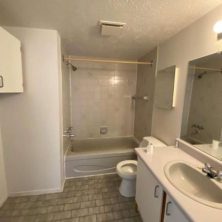 GRAND ET LUMINEUX 4.5 DISPONIBLE 1er FÉVRIER 2025 - Photo 4