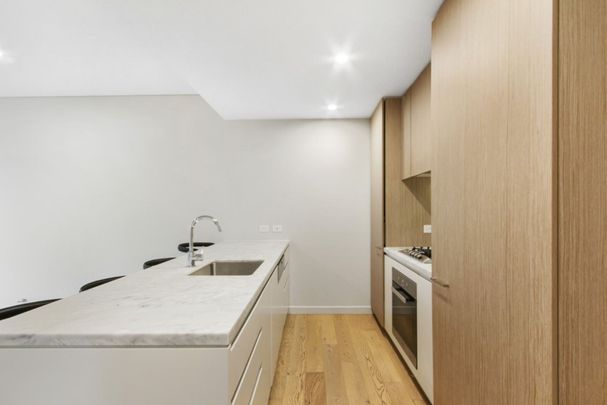 Experience Luxury Living in Lane Cove's Prestigious Botanic Development - Photo 1