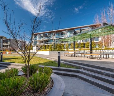 56/18 Austin Street, Griffith ACT 2603 - Apartment For Rent | Domain - Photo 4