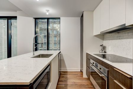 Condo for rent, Montréal (Ville-Marie) - Photo 4