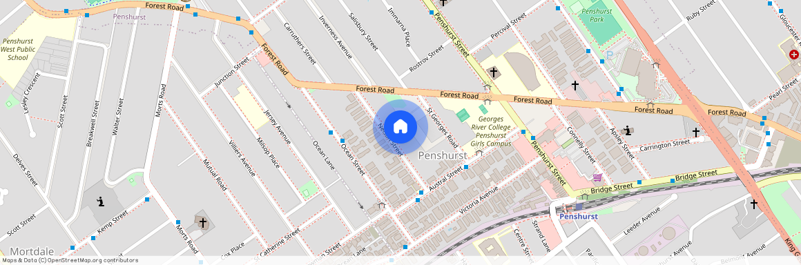 24 Nelson Street, NSW 2222, Penshurst