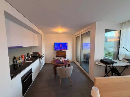 Récent logement de 1,5 pièces au coeur de Bussigny - Foto 3
