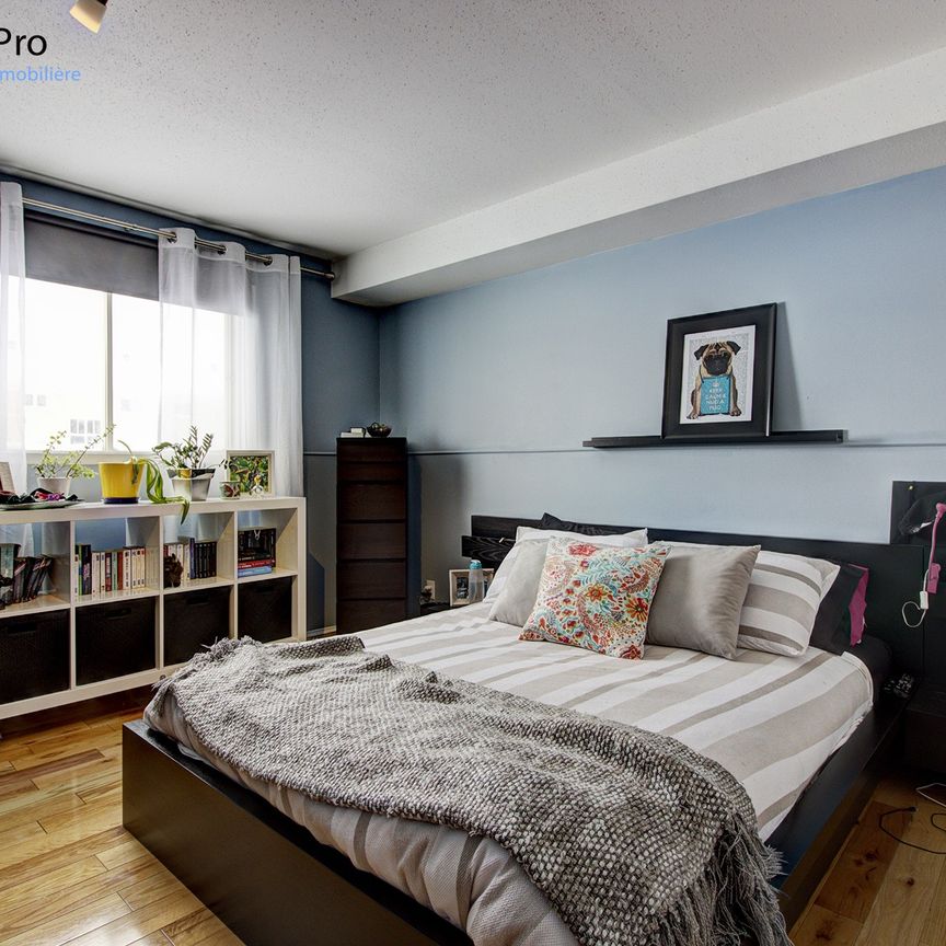 690-700-735 Groseilles - Photo 1