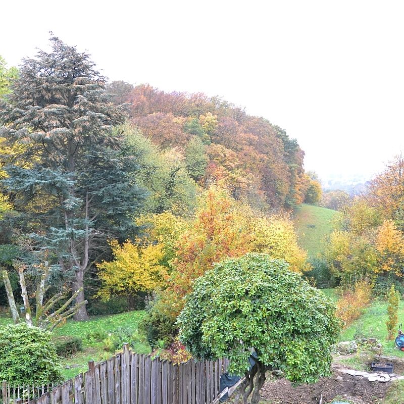 Großzügige möblierte Loftwohnung mit Blick ins Grüne - Foto 1