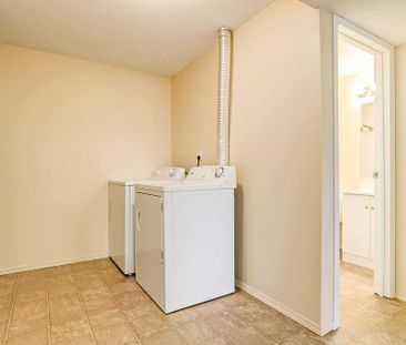 Renovated Suite - 2 Bedroom - Photo 6
