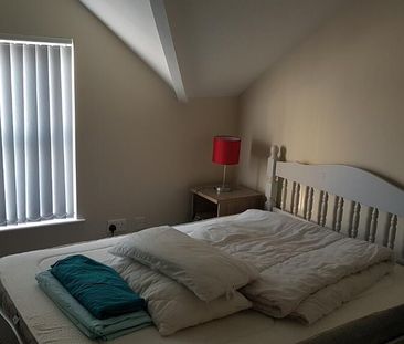 71 Fitzwilliam Street Apt 3, Belfast, BT9 6AX - Photo 2