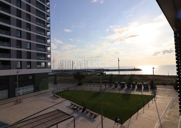 Badalona, La Morera, Barcelona, Catalonia 08918