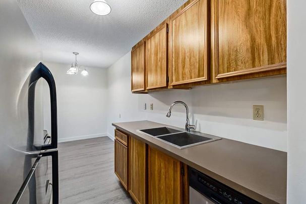 Renovated Suite - 3 Bedroom - Photo 1