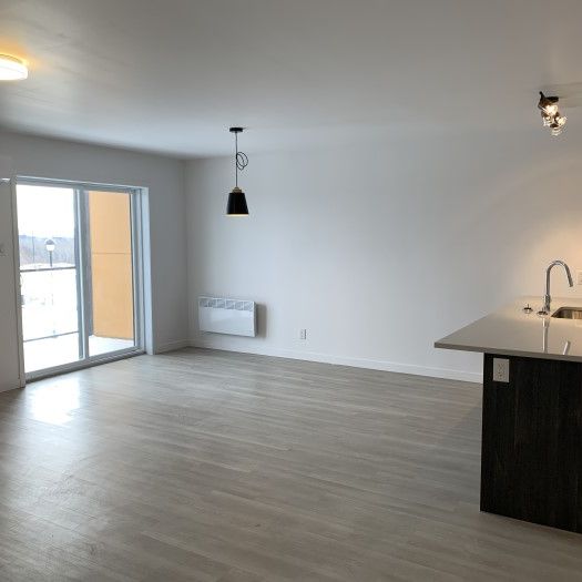 5½, 2351-206, rue Harold-Cooke, Sherbrooke, (Décembre) J1H 0M5 - Photo 1