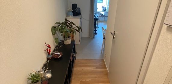 1.5 Zimmer, 30 m² - Foto 2