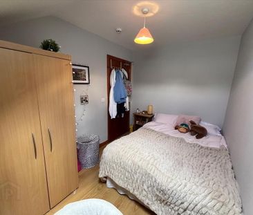 21 Eglantine Gardens, Malone Road, Belfast, BT9 6EZ - Photo 5