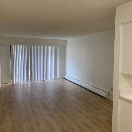 Large 1 bedroom, 1 bath apartment - Photo 1