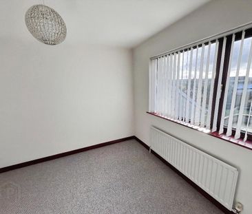 29a Lurganure Road, Lisburn, BT28 2TS - Photo 3