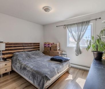 Appartement 4 ½ à louer Lévis juillet 2026 - Photo 2