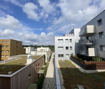 WOHNQUARTIER WILDGARTEN - Familienfreundliches Wohnen auf der Sonne... - Foto 4