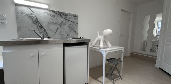 Location Appartement 1 pièce 12m² CLERMONT FERRAND 63000 - Photo 2