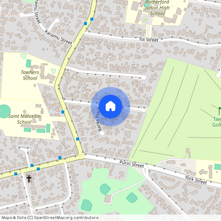 11 Nikau Street, Tawhero, Whanganui