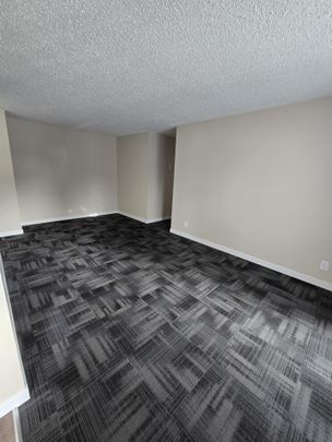 Beautifully renovated two bedroom unit in Waskasoo - Photo 1