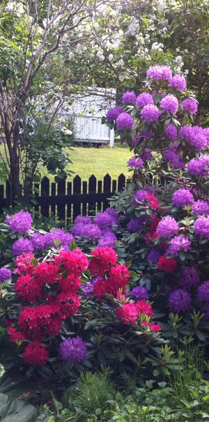 Källvägen, Täby - Foto 1