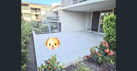 BURLEIGH CENTRAL apartment in resort style complex walk everywhere! - Photo 4