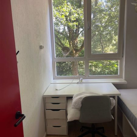 Chambre meublée Dommelstraat, Enschede - À louer - Photo 3