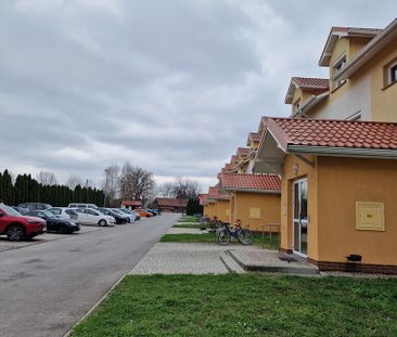 Mieszkanie z ogródkiem i miejscem parkingowym - Photo 1